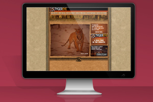 Flash Website – TygerEye -2005 – Website Closed